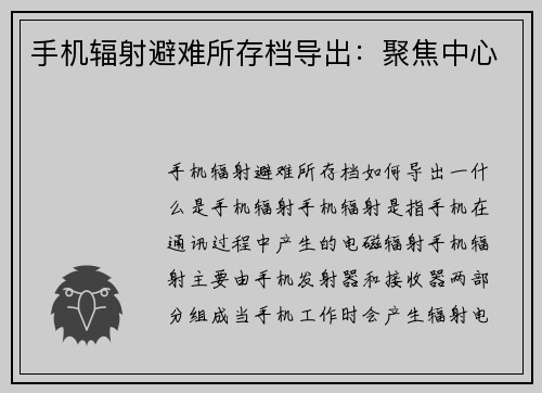 手机辐射避难所存档导出：聚焦中心